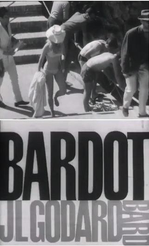 Le Parti des choses : Bardot et Godard постер