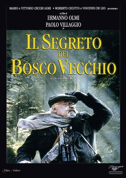 Il segreto del bosco vecchio постер