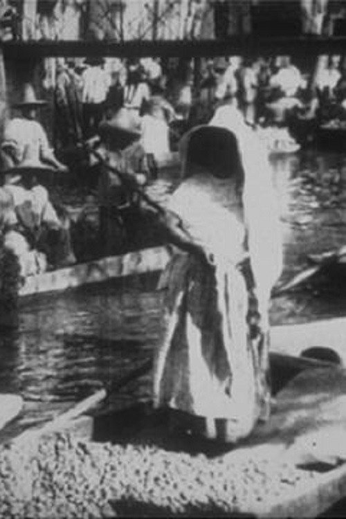 Marche Indien sur le canal de la Viga постер
