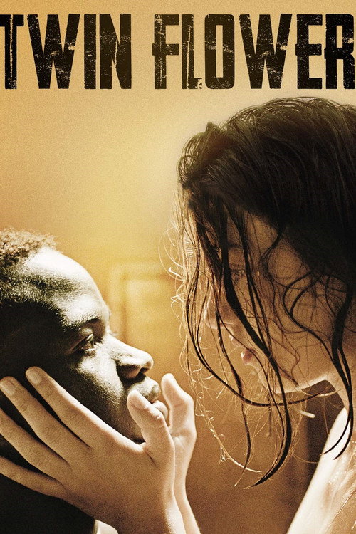 Fiore gemello постер