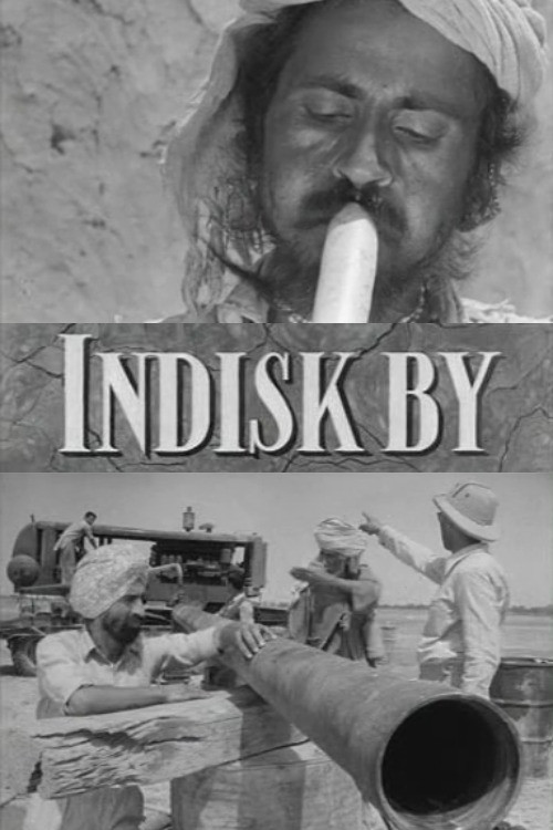 Indisk by постер