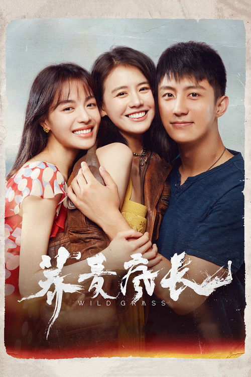 荞麦疯长 постер