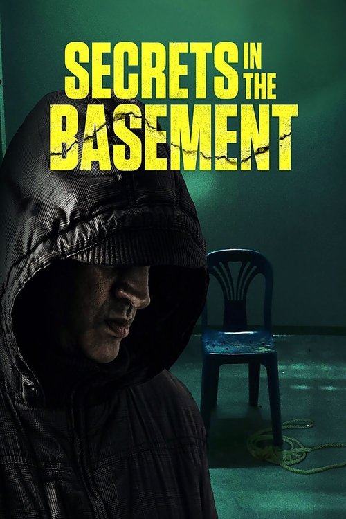 Secrets in the Basement постер