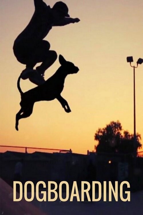 Dogboarding постер