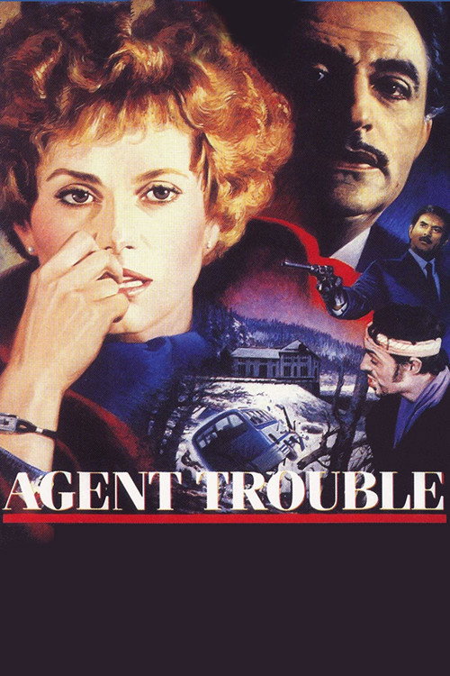 Agent trouble постер