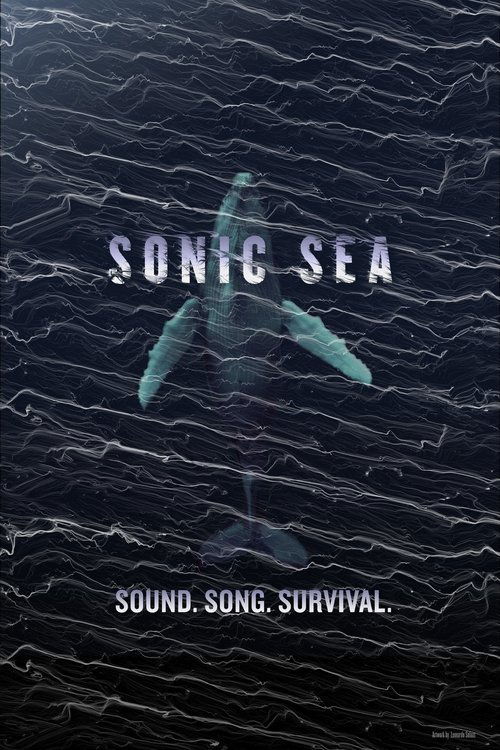 Sonic Sea постер