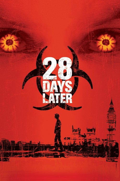 28 Days Later постер