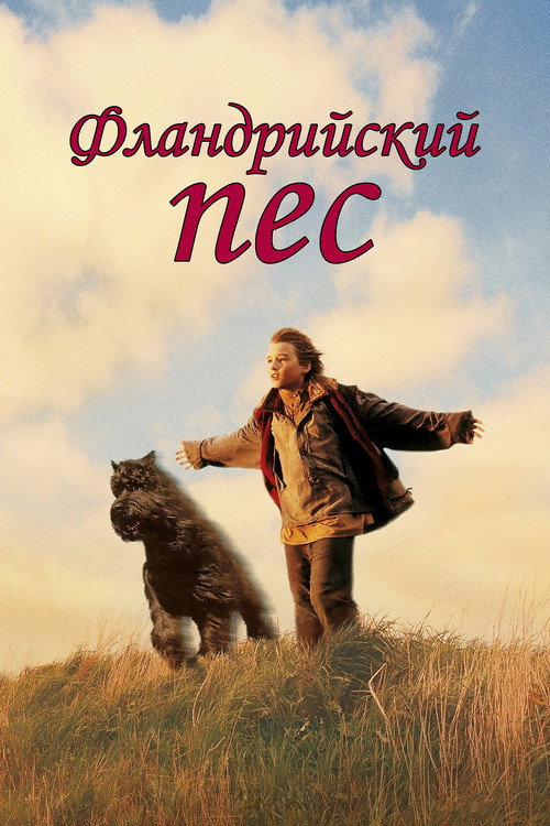 Фламандский пёс постер