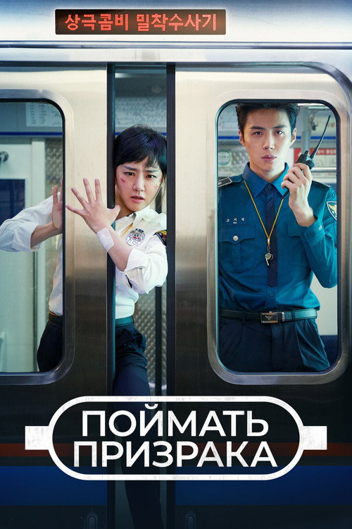 Поймать призрака постер