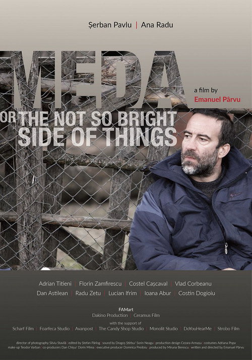 Meda or The Not So Bright Side of Things постер