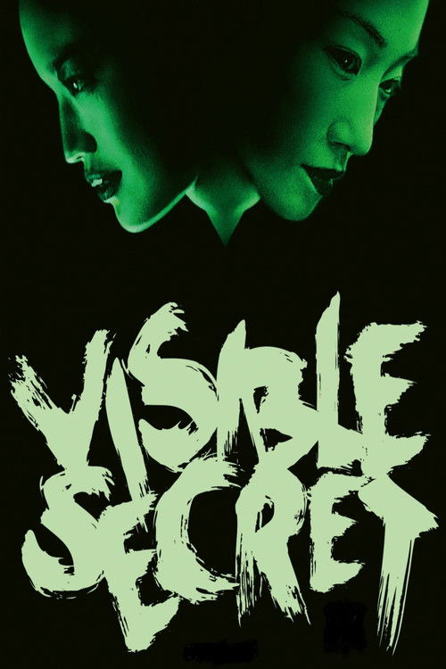 Visible Secret постер