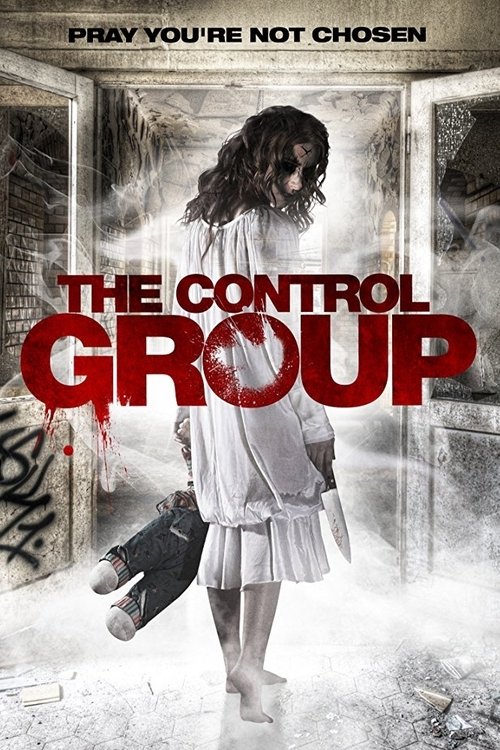 The Control Group постер
