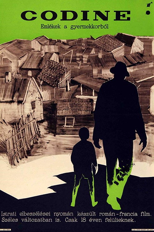 Кодин постер