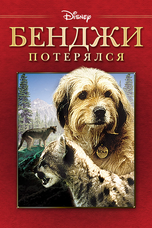 Бенджи потерялся постер