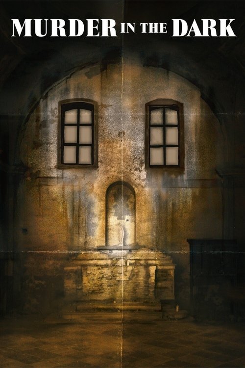 Murder in the Dark постер