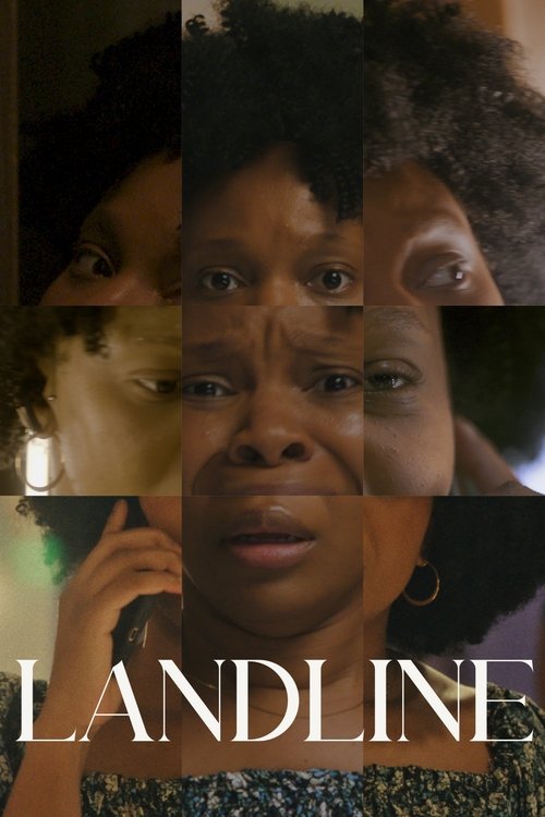 Landline постер