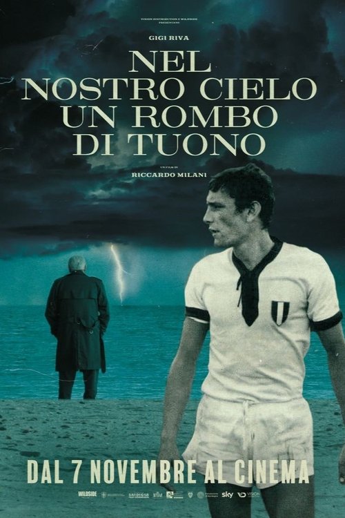 Nel nostro cielo un rombo di tuono постер