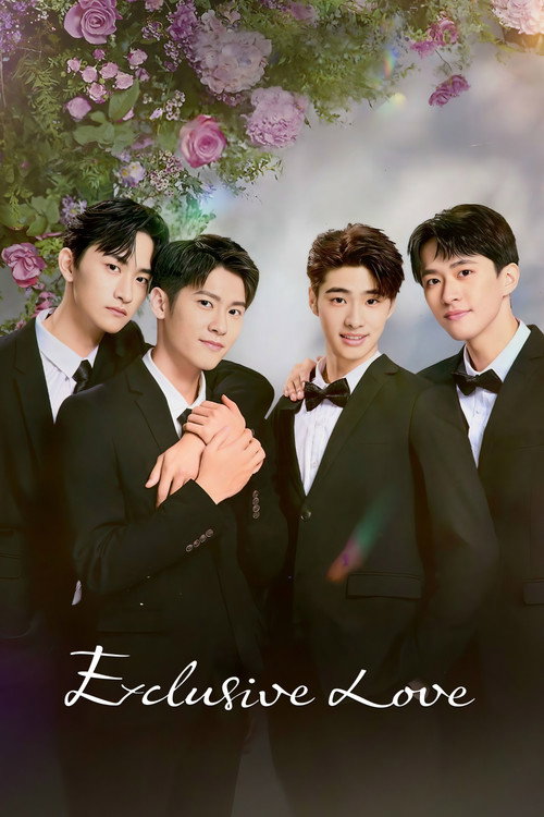 獨佔接班人 постер