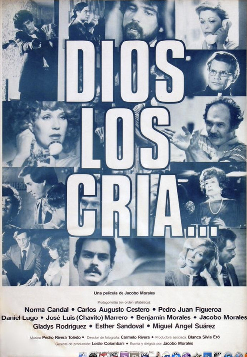 Dios los cría постер