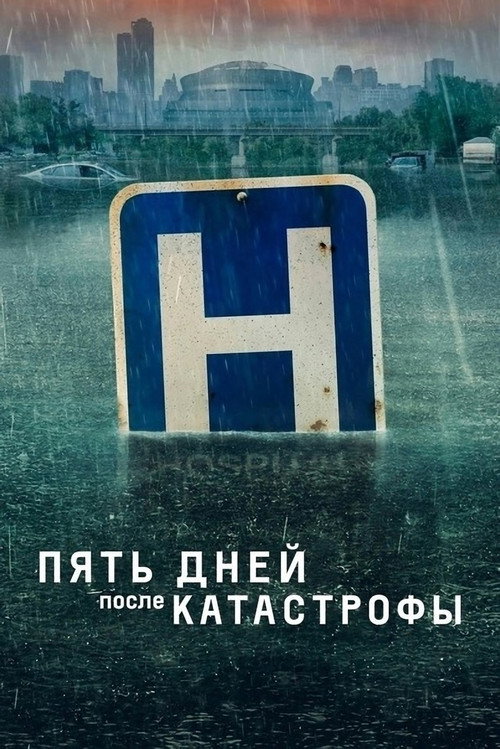 Пять дней после катастрофы постер