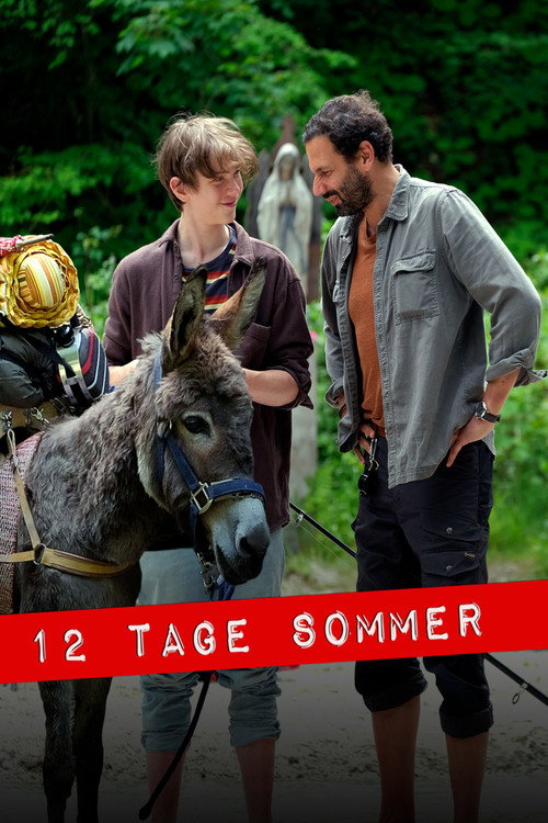 12 Tage Sommer постер