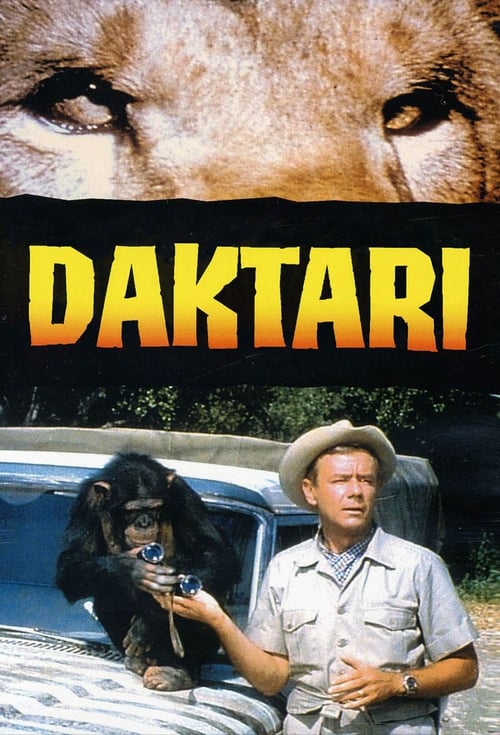 Daktari постер