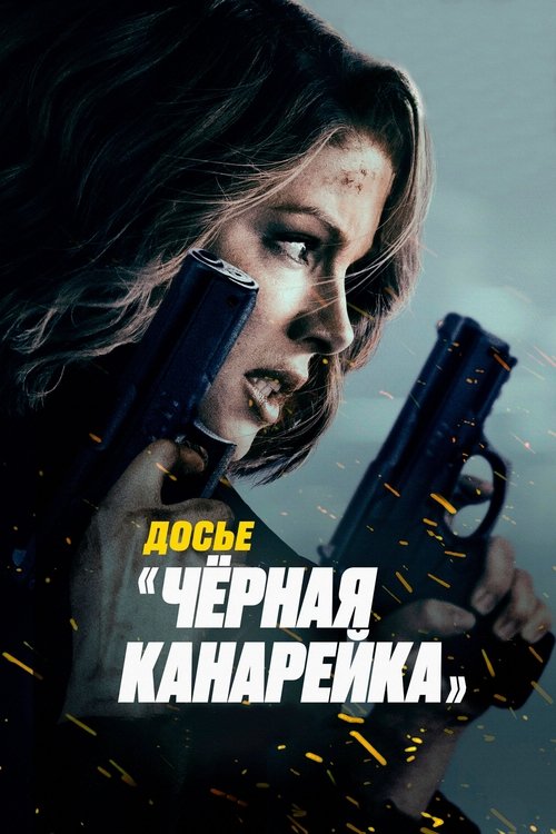Досье «Чёрная канарейка» постер