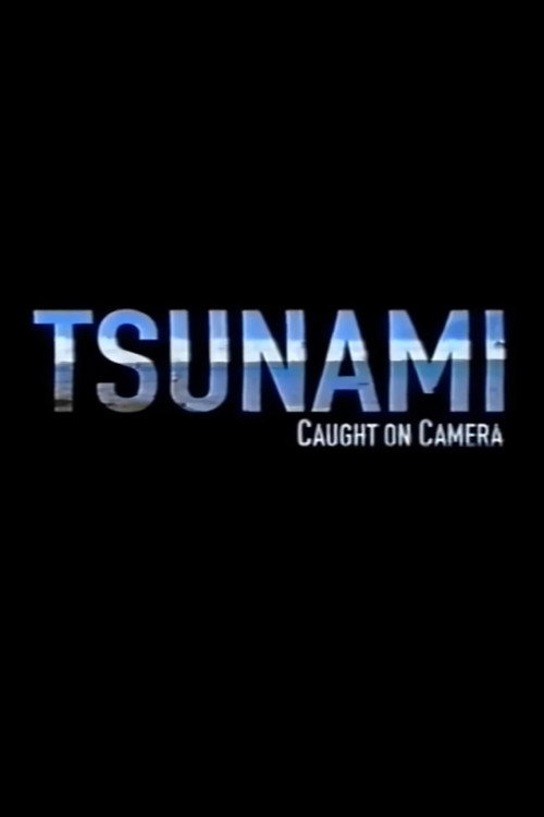 Tsunami: Caught on Camera постер