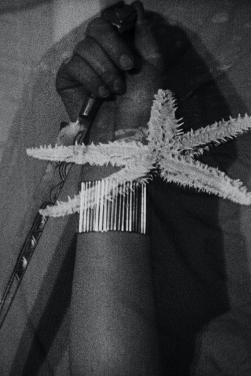 The Starfish постер