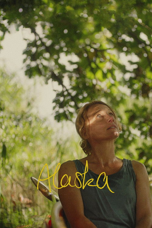 Alaska постер
