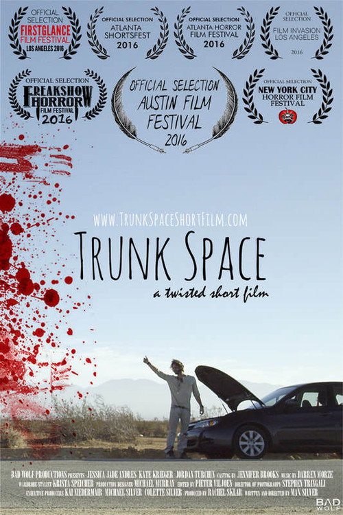 Trunk Space постер
