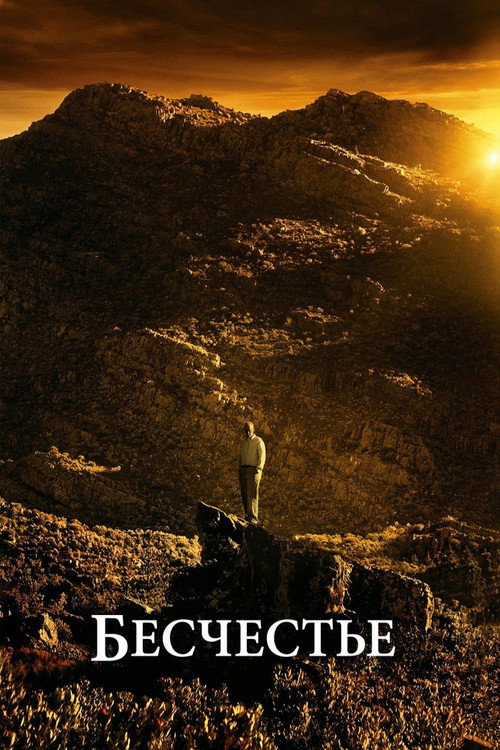 Бесчестье постер