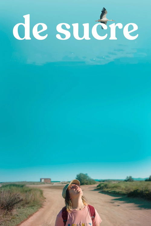 De sucre постер