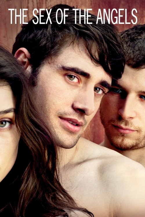 Секс ангелов постер