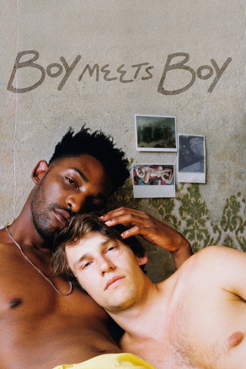 Boy Meets Boy постер