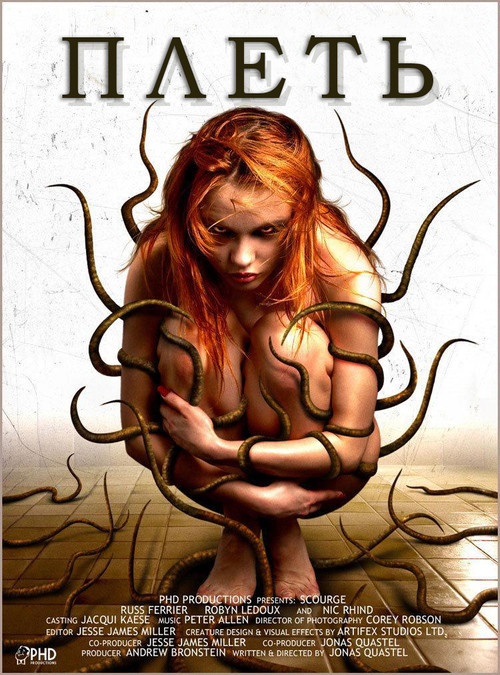 Плеть постер