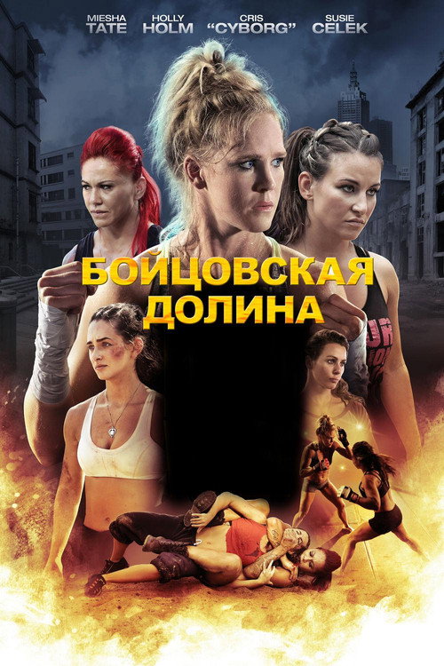 Бойцовская долина постер