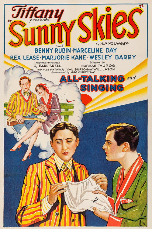 Sunny Skies постер