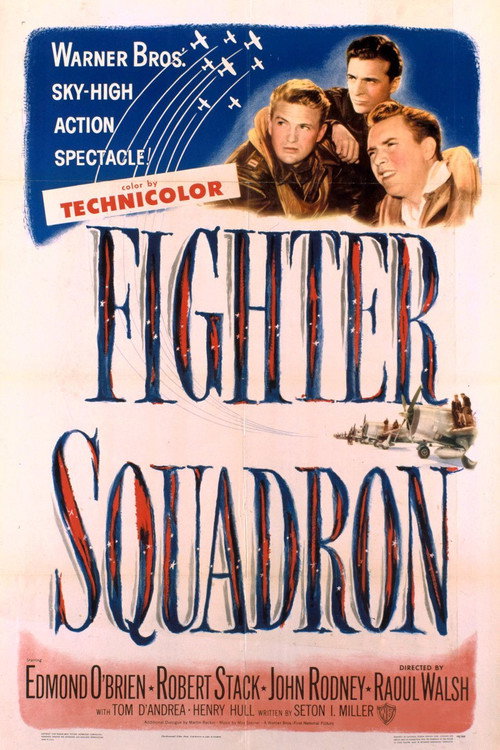 Fighter Squadron постер