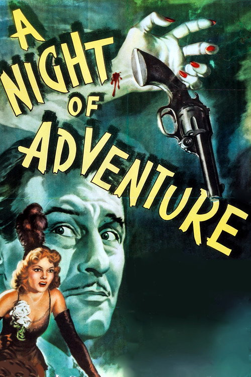 A Night of Adventure постер