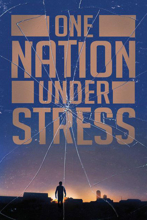 One Nation Under Stress постер