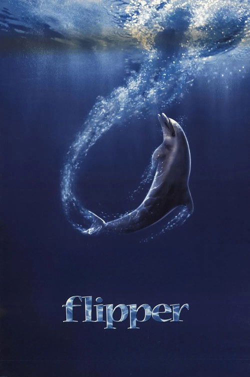 Flipper постер