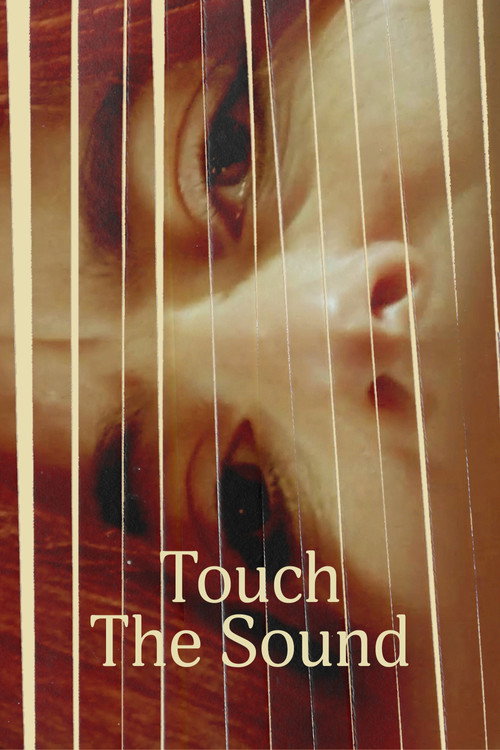Touch the Sound постер