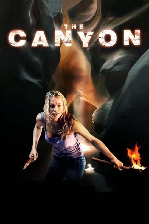 The Canyon постер