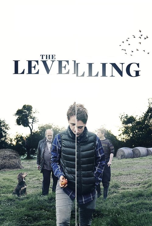 The Levelling постер