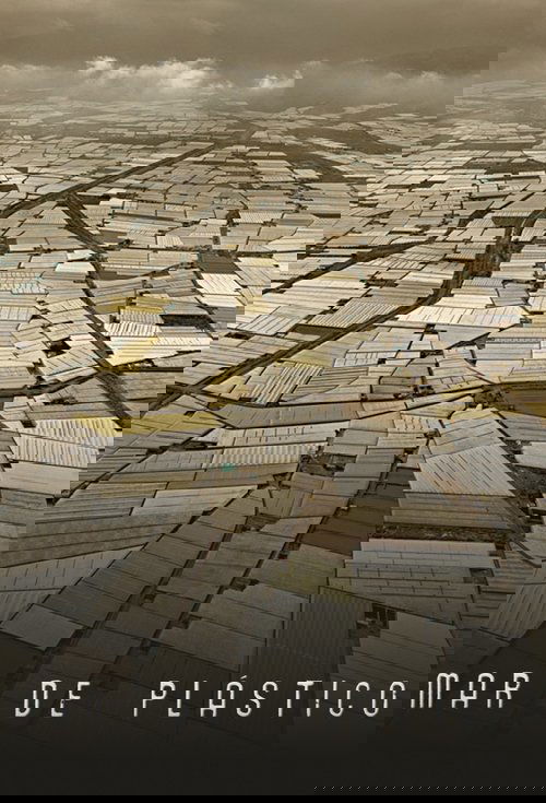 Mar de plástico постер