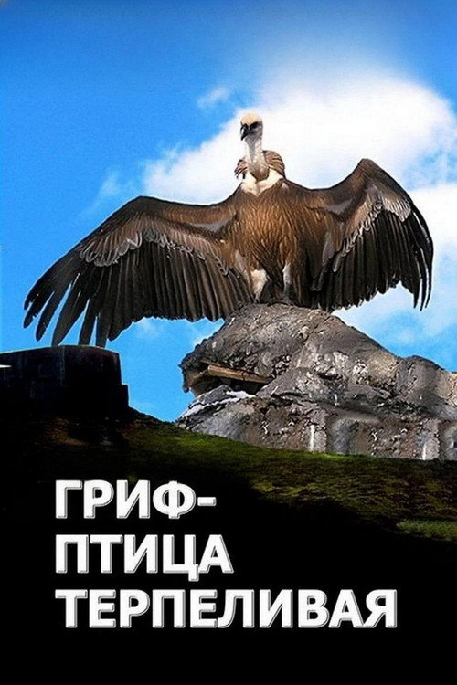 Гриф - птица терпеливая постер