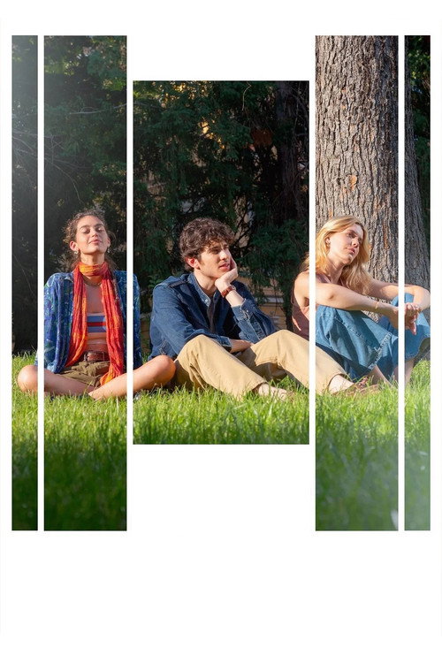 Любовь в теории постер