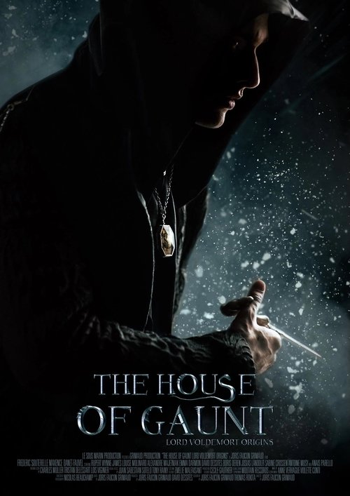 The House of Gaunt постер