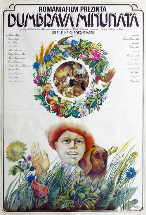 Dumbrava minunată постер